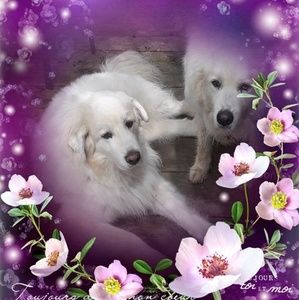 Meet your Posher, Beverly